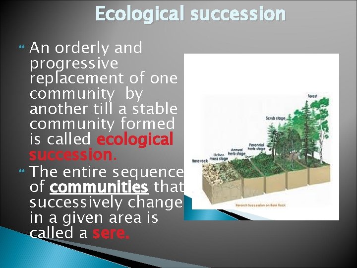 Ecological succession An orderly and progressive replacement of one community by another till a