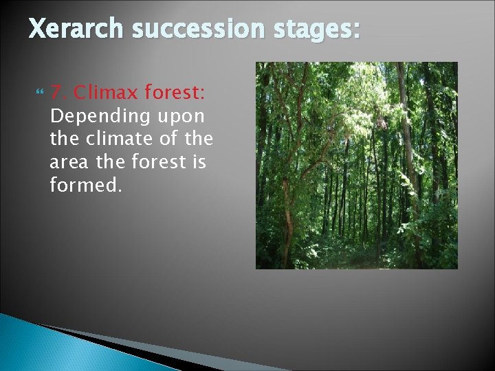 Xerarch succession stages: 7. Climax forest: Depending upon the climate of the area the