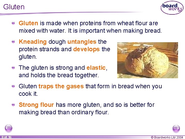 Gluten is made when proteins from wheat flour are mixed with water. It is