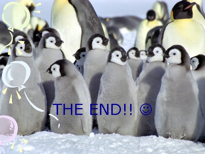 THE END!! 