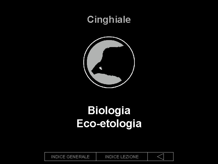 Cinghiale Biologia Eco-etologia INDICE GENERALE INDICE LEZIONE 