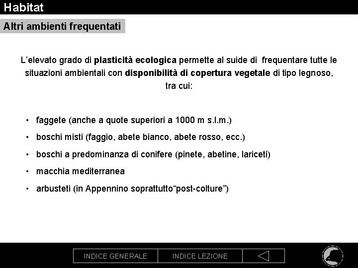 Habitat Altri ambienti frequentati L’elevato grado di plasticità ecologica permette al suide di frequentare
