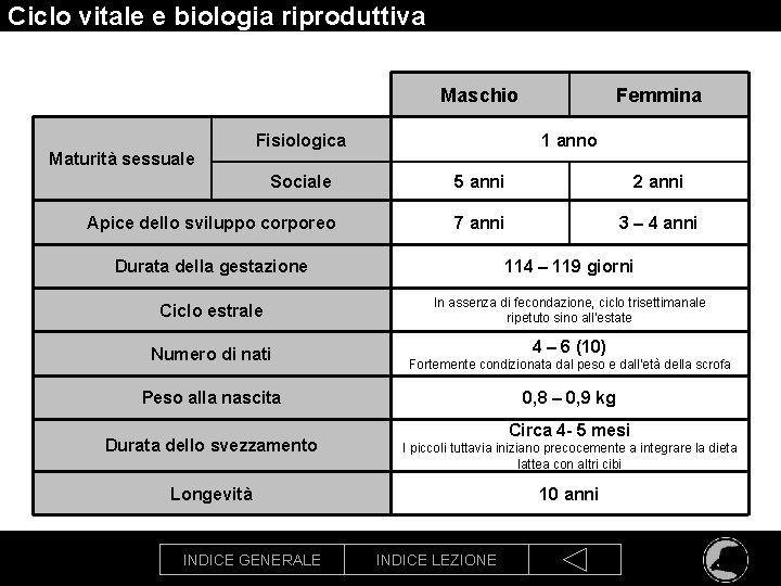 Ciclo vitale e biologia riproduttiva Maschio Maturità sessuale Fisiologica Femmina 1 anno Sociale 5