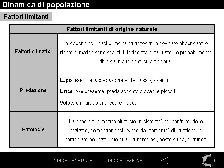 Dinamica di popolazione Fattori limitanti di origine naturale In Appennino, i casi di mortalità