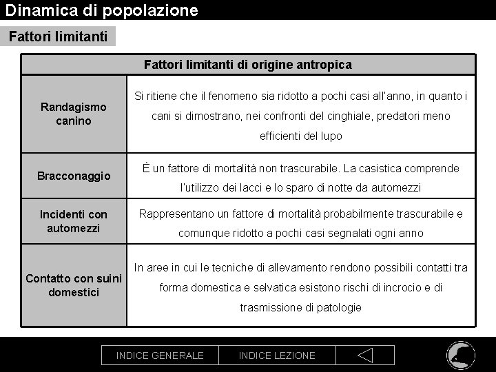 Dinamica di popolazione Fattori limitanti di origine antropica Si ritiene che il fenomeno sia