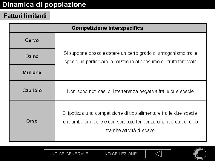 Dinamica di popolazione Fattori limitanti Competizione interspecifica Cervo Daino Si suppone possa esistere un