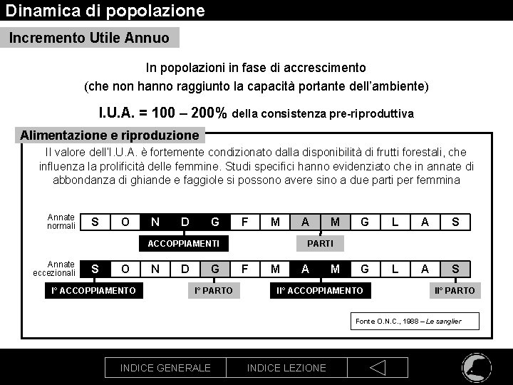 Dinamica di popolazione Incremento Utile Annuo In popolazioni in fase di accrescimento (che non