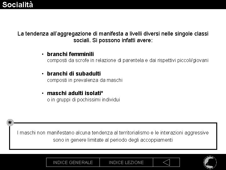 Socialità La tendenza all’aggregazione di manifesta a livelli diversi nelle singole classi sociali. Si