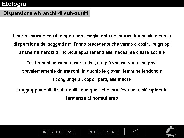 Etologia Dispersione e branchi di sub-adulti Il parto coincide con il temporaneo scioglimento del