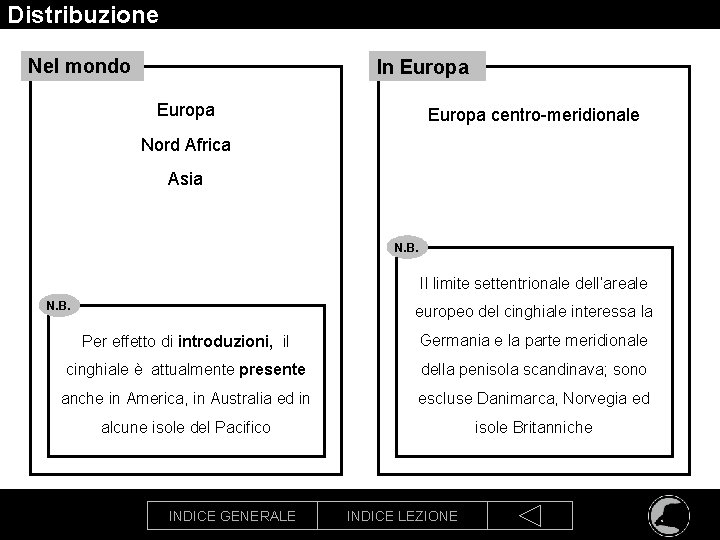 Distribuzione Nel mondo In Europa centro-meridionale Nord Africa Asia N. B. Il limite settentrionale