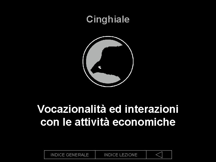 Cinghiale Vocazionalità ed interazioni con le attività economiche INDICE GENERALE INDICE LEZIONE 