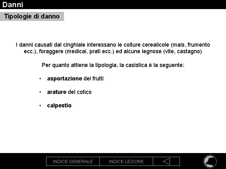Danni Tipologie di danno I danni causati dal cinghiale interessano le colture cerealicole (mais,