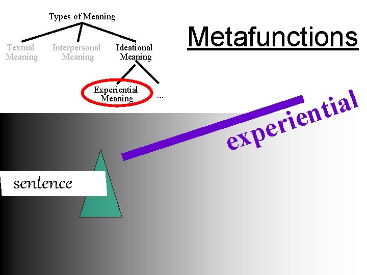 Types of Meaning Textual Meaning Interpersonal Meaning Metafunctions Ideational Meaning Experiential Meaning l a