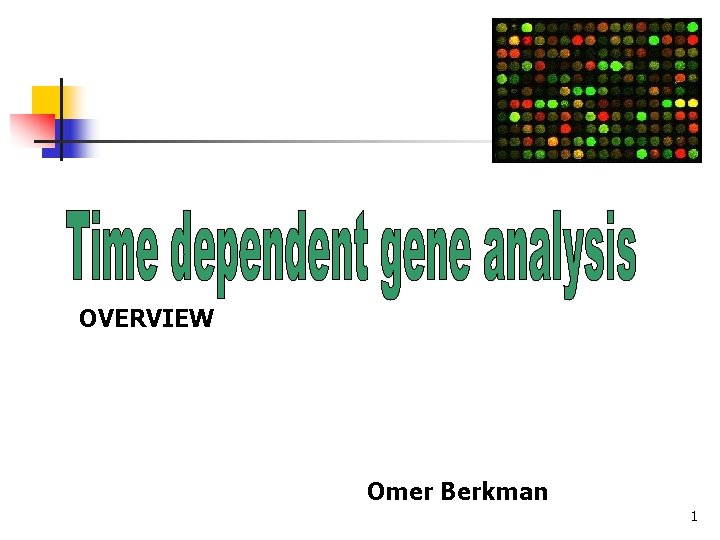 OVERVIEW Omer Berkman 1 