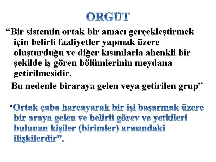 “Bir sistemin ortak bir amacı gerçekleştirmek için belirli faaliyetler yapmak üzere oluşturduğu ve diğer