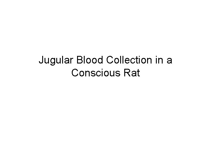 Jugular Blood Collection in a Conscious Rat 