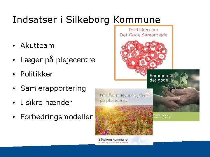 Indsatser i Silkeborg Kommune • Akutteam • Læger på plejecentre • Politikker • Samlerapportering