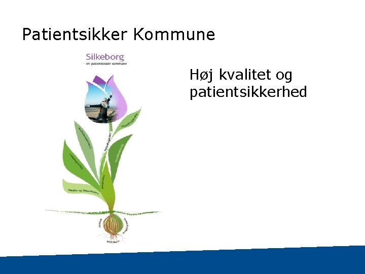 Patientsikker Kommune Høj kvalitet og patientsikkerhed 