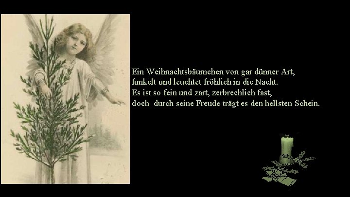Ein Weihnachtsbäumchen von gar dünner Art, funkelt und leuchtet fröhlich in die Nacht. Es