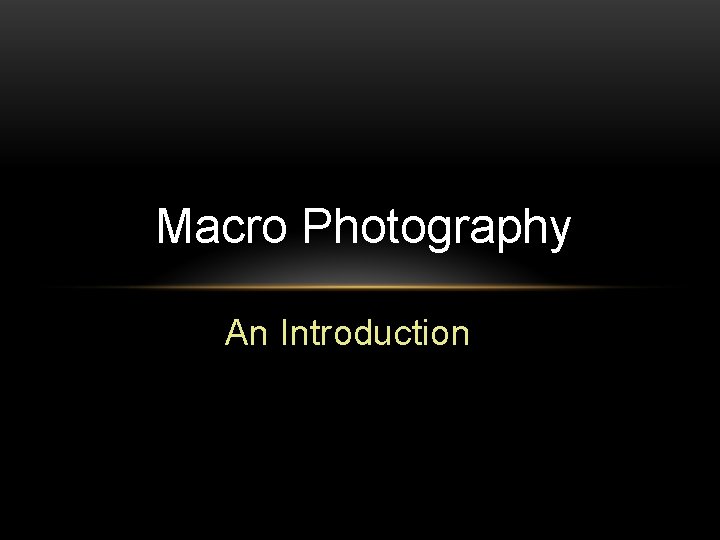 Macro Photography An Introduction 