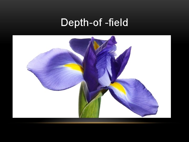 Depth-of -field 