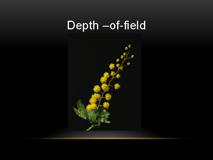 Depth –of-field 
