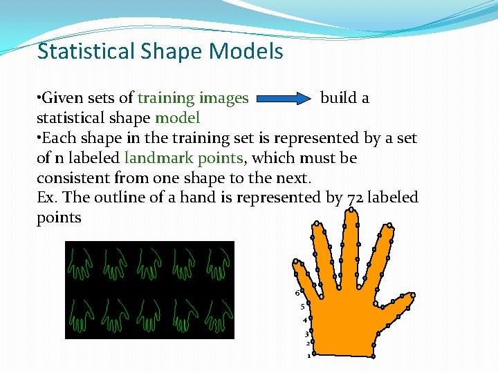 Statistical Shape Models • Given sets of training images build a statistical shape model