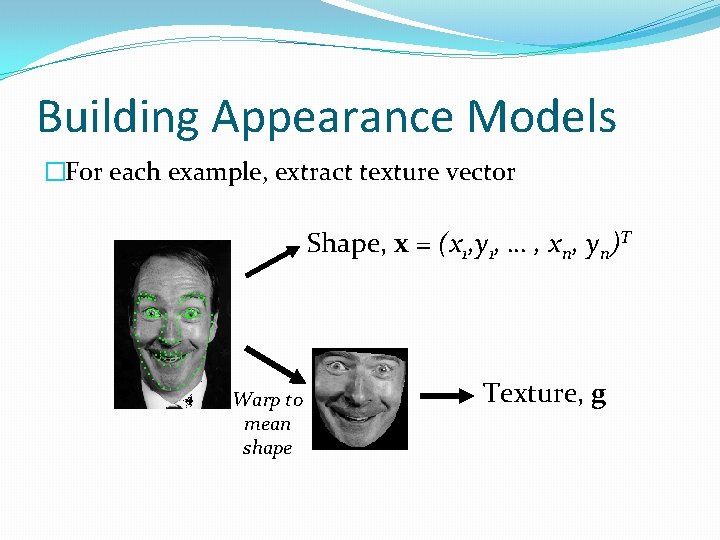 Building Appearance Models �For each example, extract texture vector Shape, x = (x 1,