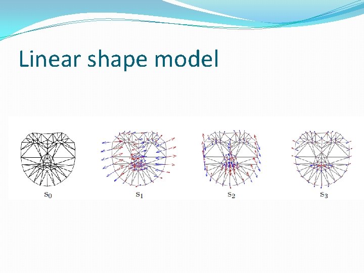 Linear shape model 