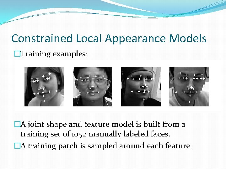 Constrained Local Appearance Models �Training examples: �A joint shape and texture model is built