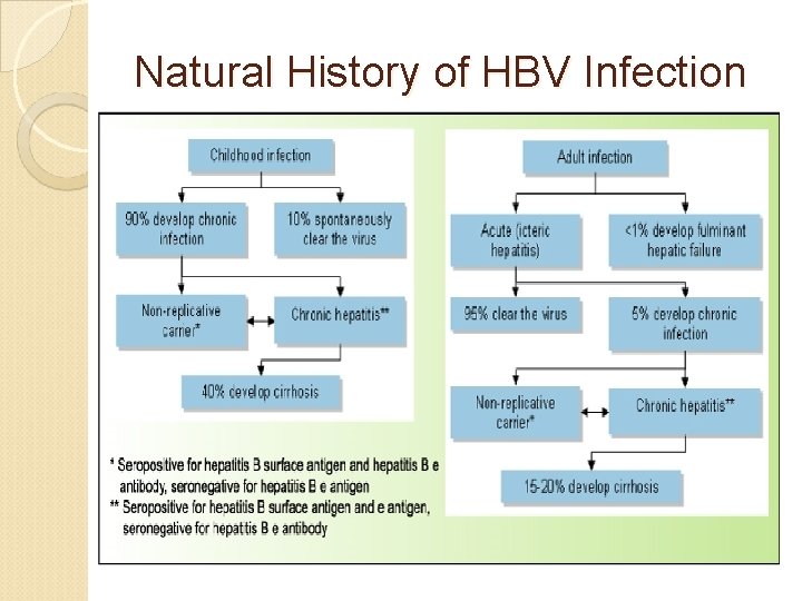 Natural History of HBV Infection 