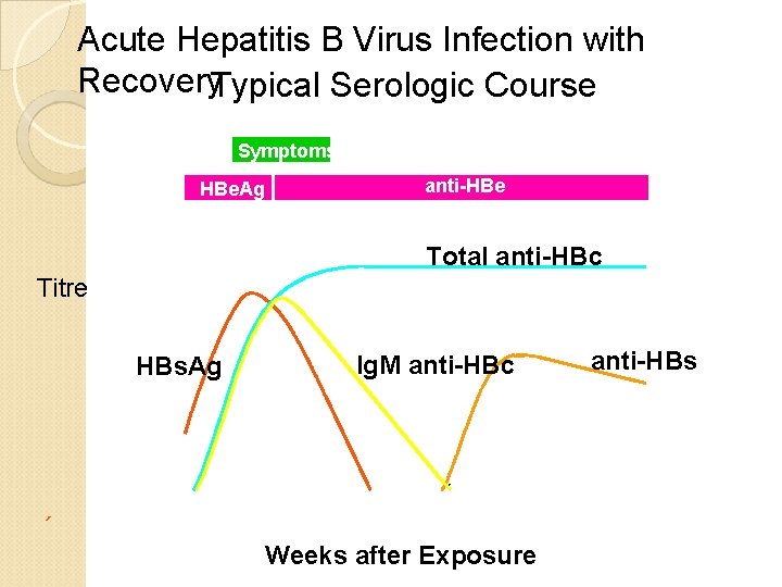 Acute Hepatitis B Virus Infection with Recovery. Typical Serologic Course Symptoms HBe. Ag anti-HBe Acute Hepatitis B Virus Infection with Recovery. Typical Serologic Course Symptoms HBe. Ag anti-HBe
