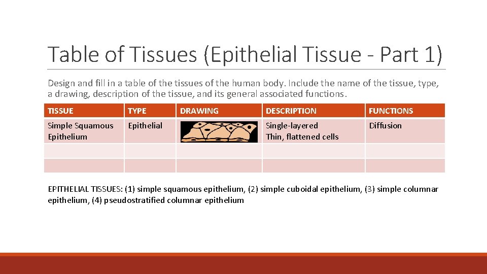Table of Tissues (Epithelial Tissue - Part 1) Design and fill in a table