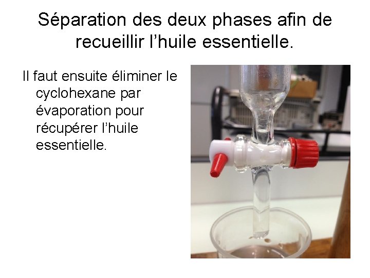 Séparation des deux phases afin de recueillir l’huile essentielle. Il faut ensuite éliminer le
