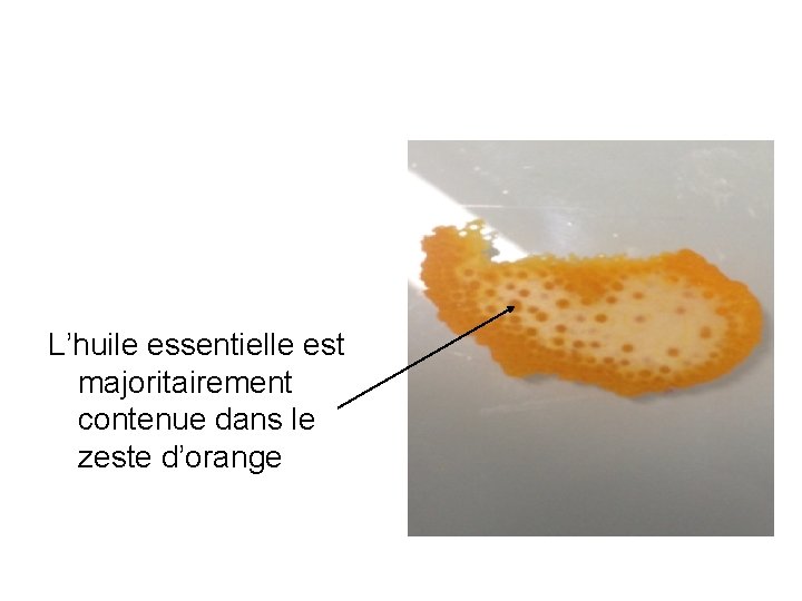 L’huile essentielle est majoritairement contenue dans le zeste d’orange 