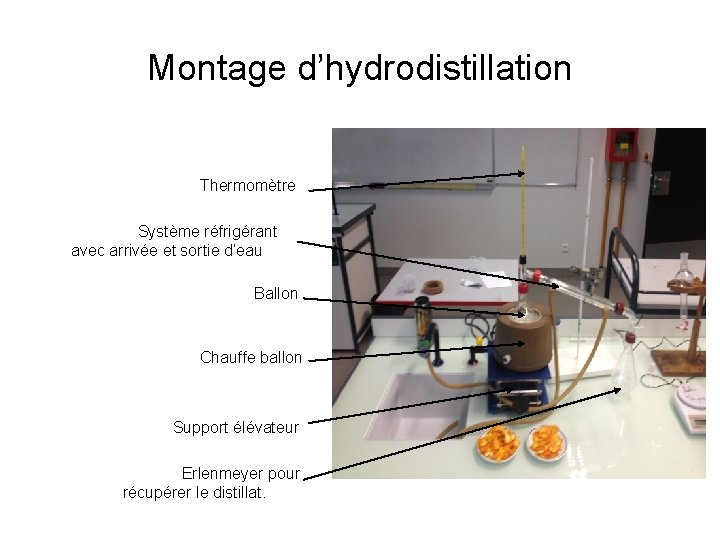 Montage d’hydrodistillation Thermomètre Système réfrigérant avec arrivée et sortie d’eau Ballon Chauffe ballon Support