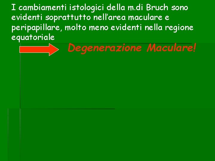 I cambiamenti istologici della m. di Bruch sono evidenti soprattutto nell’area maculare e peripapillare,