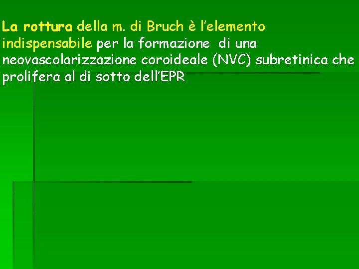 La rottura della m. di Bruch è l’elemento indispensabile per la formazione di una