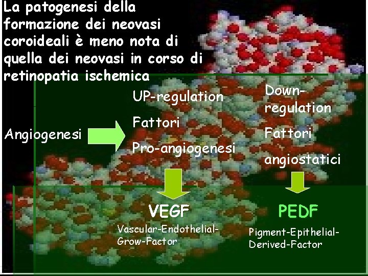 La patogenesi della formazione dei neovasi coroideali è meno nota di quella dei neovasi