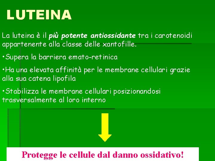 LUTEINA La luteina è il più potente antiossidante tra i carotenoidi appartenente alla classe