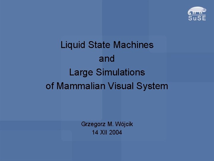 Liquid State Machines and Large Simulations of Mammalian Visual System Grzegorz M. Wójcik 14