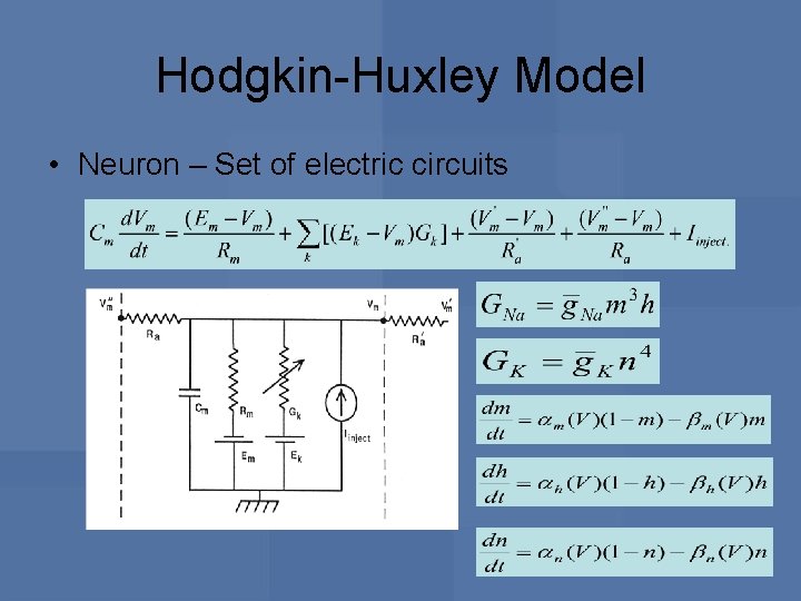 Hodgkin-Huxley Model • Neuron – Set of electric circuits 