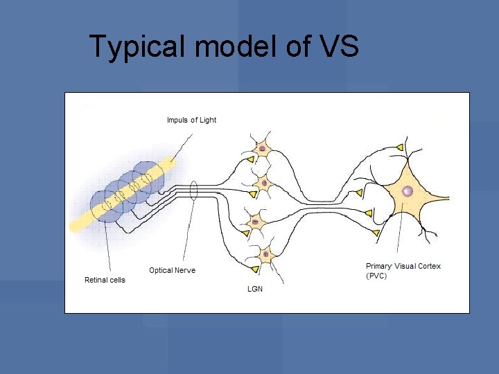 Typical model of VS 