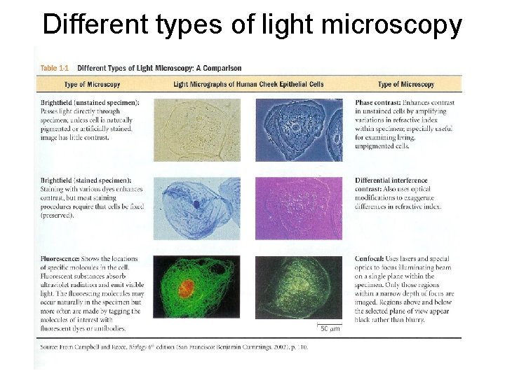 Different types of light microscopy 