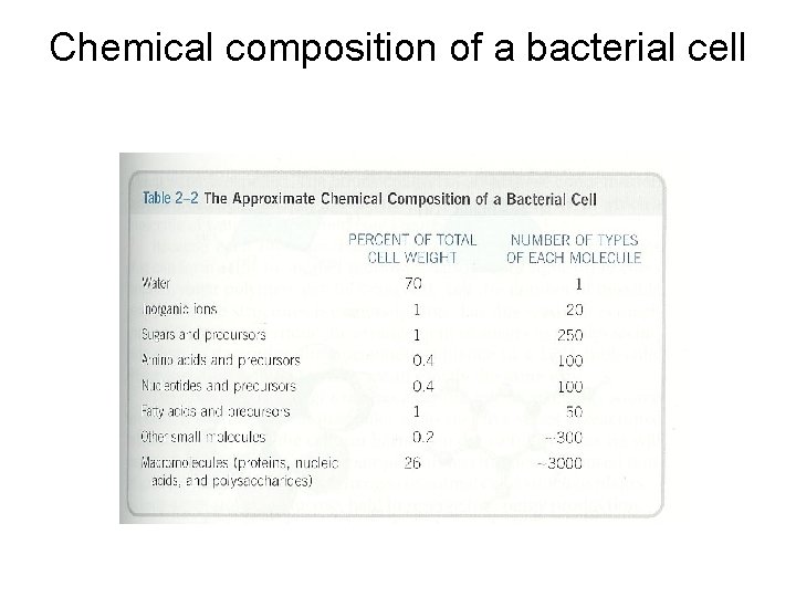 Chemical composition of a bacterial cell 