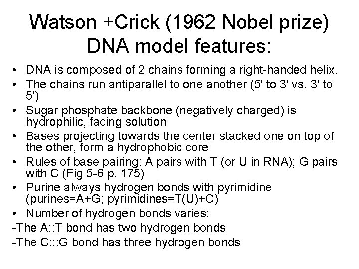 Watson +Crick (1962 Nobel prize) DNA model features: • DNA is composed of 2