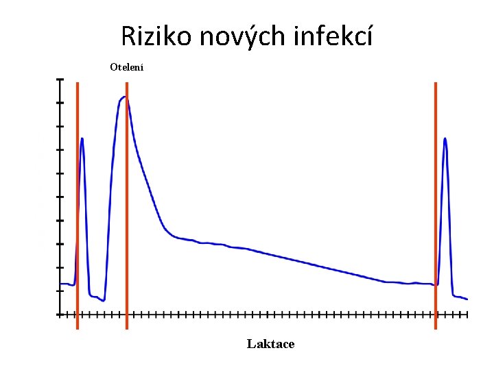 Riziko nových infekcí Otelení Laktace 