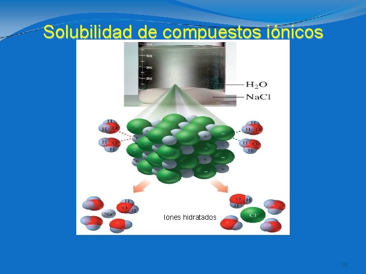 Solubilidad de compuestos iónicos Iones hidratados 16 