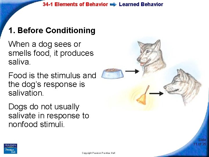 34 -1 Elements of Behavior Learned Behavior 1. Before Conditioning When a dog sees