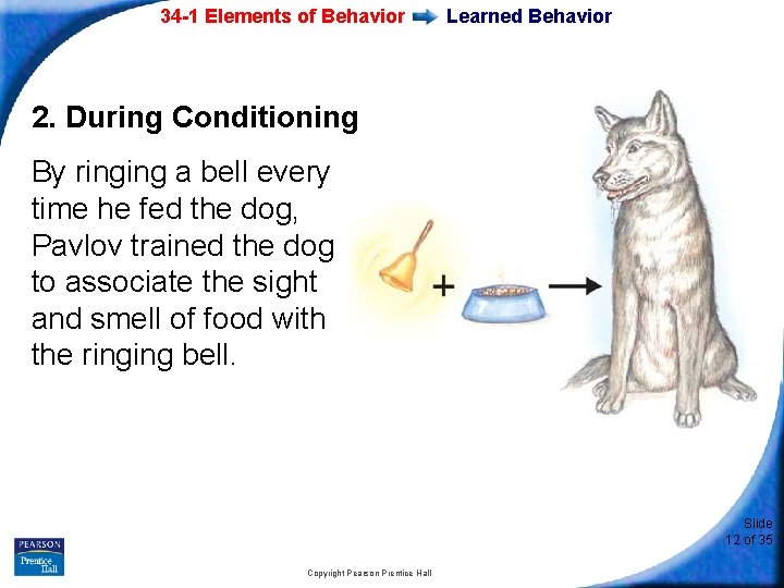 34 -1 Elements of Behavior Learned Behavior 2. During Conditioning By ringing a bell